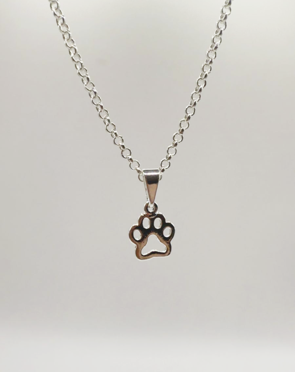 Wild Paw - Silver