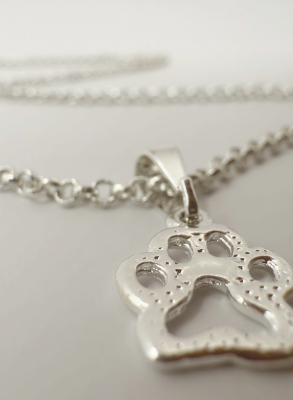 Wild Paw - Silver - Image 3