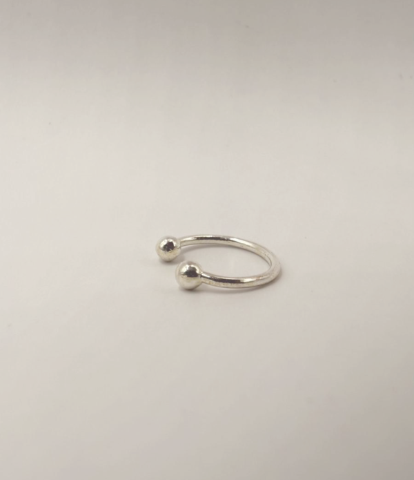Silver Whisper - Image 2