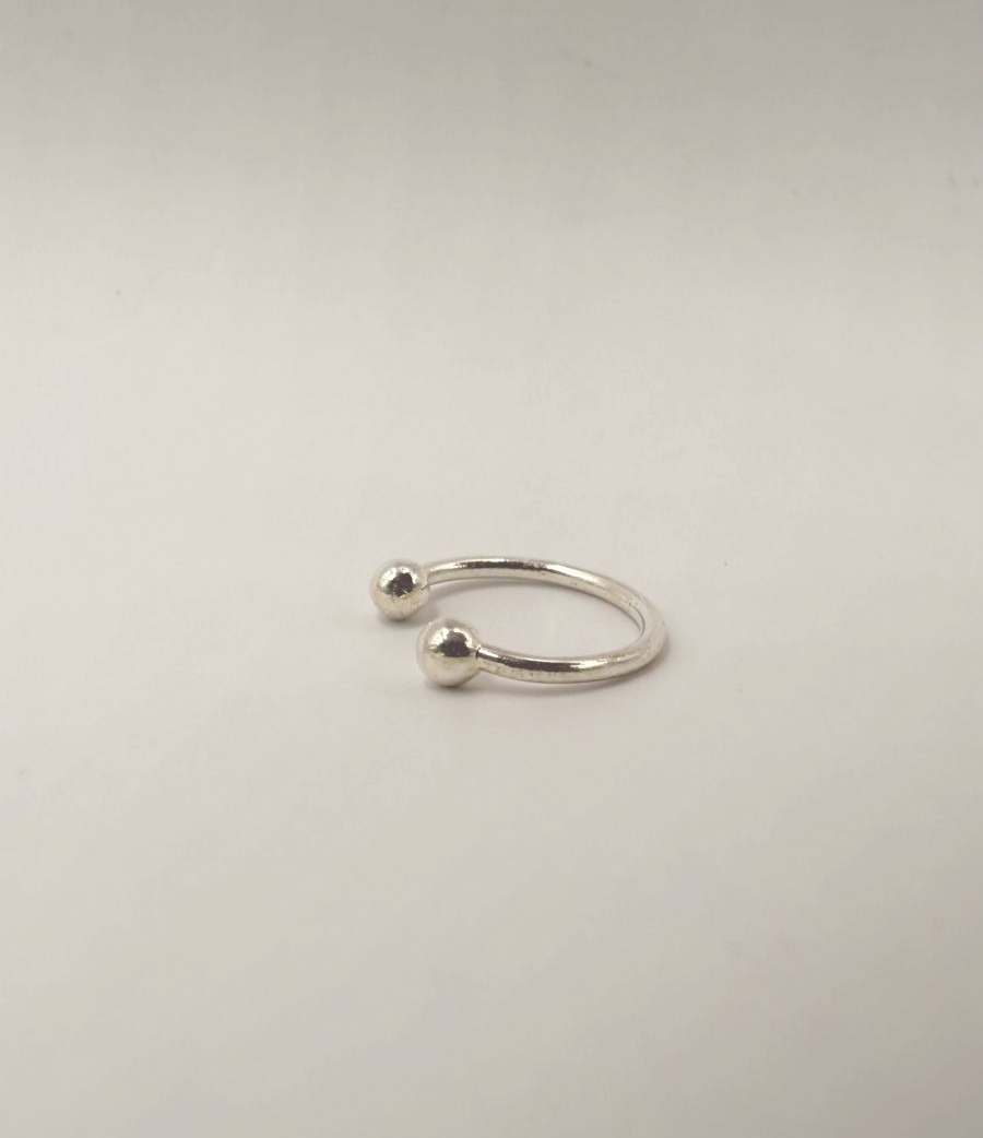 Silver Whisper - Image 2